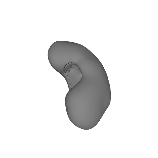Kidney_Male_Left_vh_m_kidney_l_NIH3D